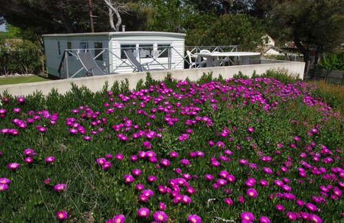 Le Grau-dʼAgde Apartment | 30 m² Apartment ∙ 2 bedrooms ∙ 5 guests