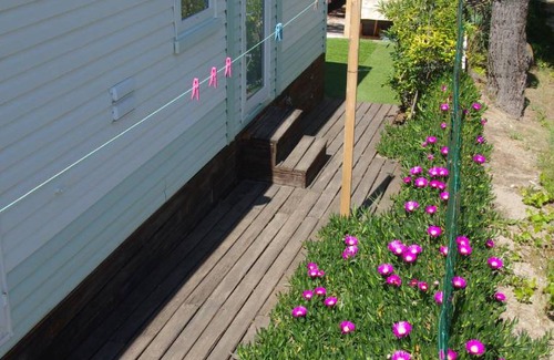 Le Grau-dʼAgde Apartment | 30 m² Apartment ∙ 2 bedrooms ∙ 5 guests