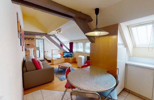 City-Centre - Petite France Apartment | 30 m² Studio flat ∙ 4 guests