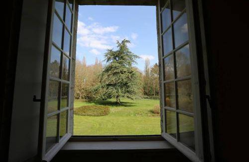 Pays de Mortagne-au-Perche Bed & Breakfast | 35 m² Bed and breakfast ∙ 2 guests