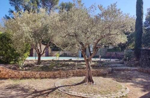Tavernes Apartment | 60 m² Apartment ∙ 1 bedroom ∙ 4 guests