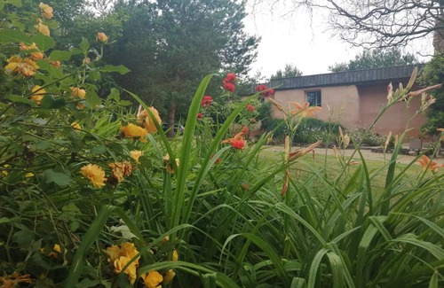 Savigne-sous-le-Lude House | 70 m² House ∙ 2 bedrooms ∙ 5 guests