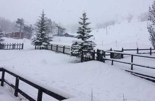 Le Sauze Apartment | Apartment at the foot of the slopes.