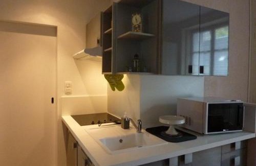 Mont-Dore Apartment | Charmant T1 en plein centre du Mont-Dore - idéal pour 4 pers., proche Thermes et commodités - FR-1-608-184