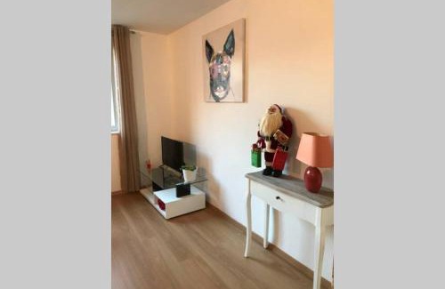 Colmar Centre Ville Apartment | Coeur Alsace