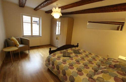 Colmar Centre Ville Apartment | Colmar Historic Center - Alsacian Appartement PETITE VENISE 2 - BookingAlsace