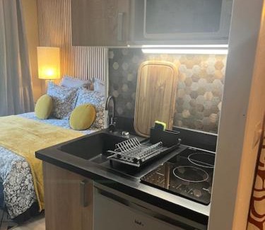 Rives de Meurthe Apartment | Petit Cocon des Rives Proche Stanislas