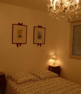 Saint-Jean-de-Braye Apartment | Pour visiter ou travailler dans le LOIRET