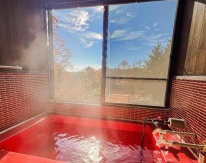 Kusatsu Onsen House | 源泉掛け流し温泉&サウナ付き貸別荘-Private hot spring & Sauna ! Private house! - THE LOOKOUT KUSATSU