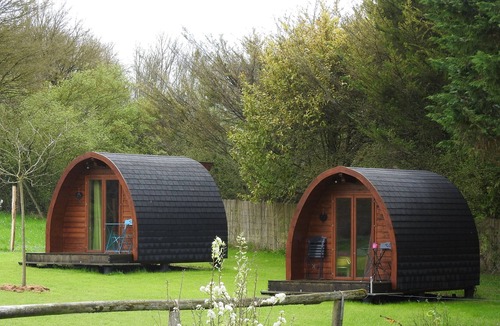 Monthoiron Cabin | 100% Nature "Nest 2" hut near Futuroscope