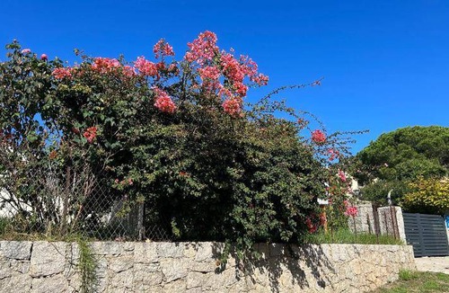 Sagone Bed & Breakfast | 290 m² Bed and breakfast ∙ 7 bedrooms ∙ 15 guests