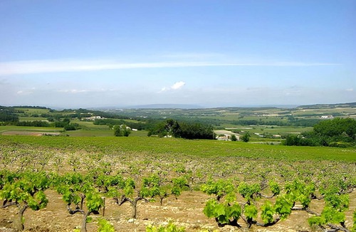 Villedieu House | 60 m² House ∙ 1 bedroom ∙ 3 guests