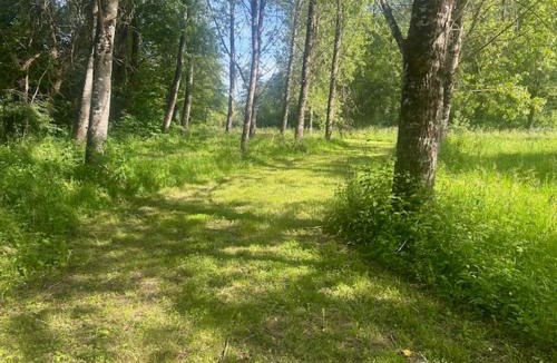 Saint-Cernin-de-lHerm Other | a côté du petit Moulin