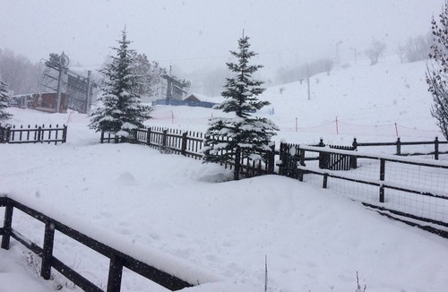 Le Sauze Apartment | Apartment at the foot of the slopes.
