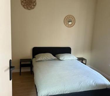 Saint-Etienne Apartment | Appartement 2 chambres gare chateaucreux