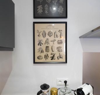 Thermal Apartment | AppartUnique - Chez Helder, la Totale