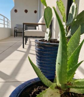 Valras-Plage Apartment | Archipel Ponant