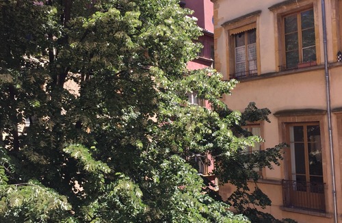 Les Cordeliers Apartment | Au Coeur du Vieux Lyon, Studio Lumineux et Cosy