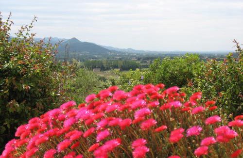 Villedieu Bed & Breakfast | B&B La Cigaline