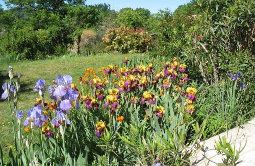 Villedieu Bed & Breakfast | B&B La Cigaline