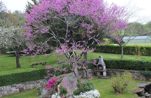 Loubajac House | Bed and breakfast at the farm, Lourdes, Pyrenees, ANOUSTA