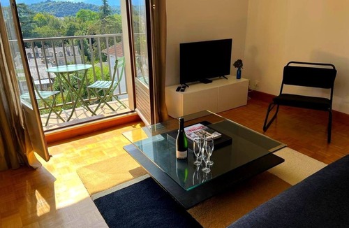 Centre Ville Apartment | Bel Appartement Pau Centre Avec vue sur les Pyrénées