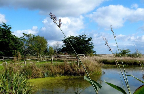 Bouin Cottage | Bouin: Mansion - Bouin