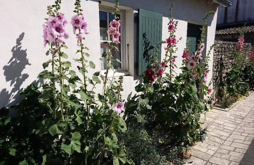 Rivedoux-Plage House | Camping Les Fougères* - Mobile Home Cabin 2 rooms 2 people