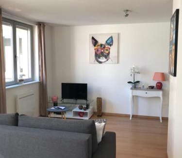 Colmar Centre Ville Apartment | Coeur Alsace