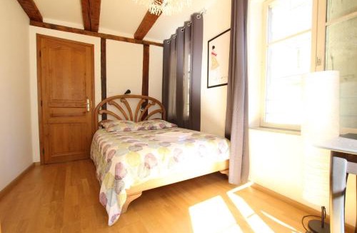 Colmar Centre Ville Apartment | Colmar Historic Center - Alsacian Appartement PETITE VENISE 1 - BookingAlsace