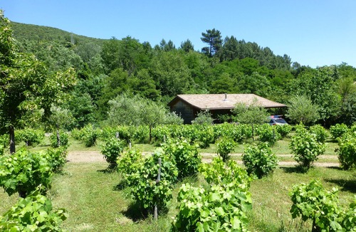 Le Martinet Cottage | Detached Cévennes chalet, Swimming pool, Quiet, large garden, Many activities.