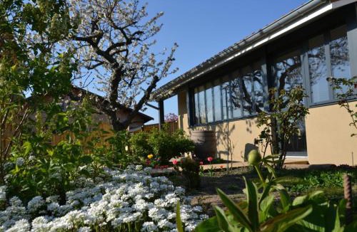 Chazelles-sur-Lyon House | Gîte familial spacieux et lumineux à Chazelles-sur-Lyon - FR-1-496-203