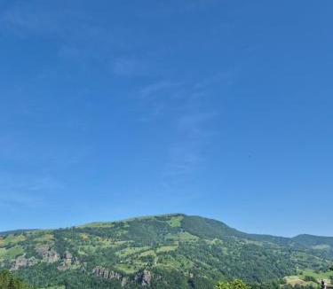 Thiezac Apartment | Gite le petit Ely