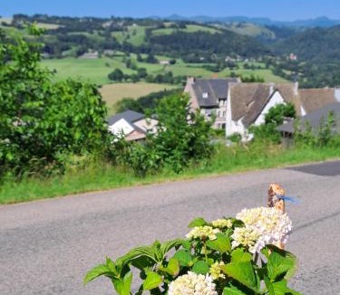Saint-Cernin House | Gite puy Chavaroche met uniek uitzicht