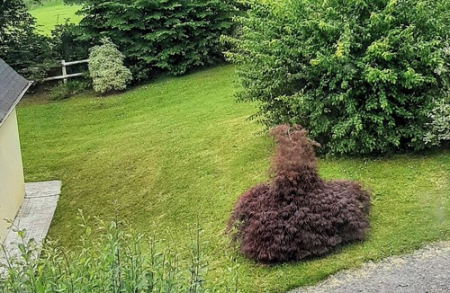 Beaufour-Druval House | House in the countryside, quiet and restful.