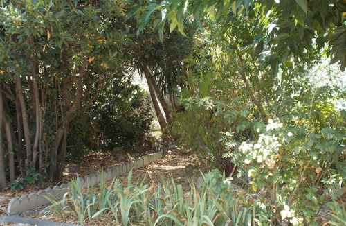 Narbonne House | House with shaded garden in a quiet dead end of Narbonne.
