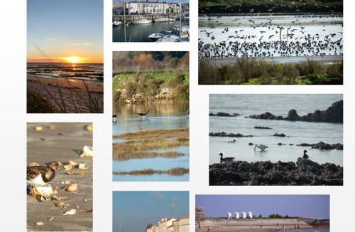 Saint-Martin-de-Re House | ILE DE RE, LA DANAE, VELOS, WIFI, POSSIBILITE CUISINE, LINGE, PARKING gratuit