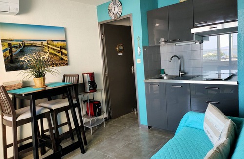 Frontignan Apartment | IMPREGNABLE VIEW ON THE PORT OF PLAISANCE - SEA 50 M