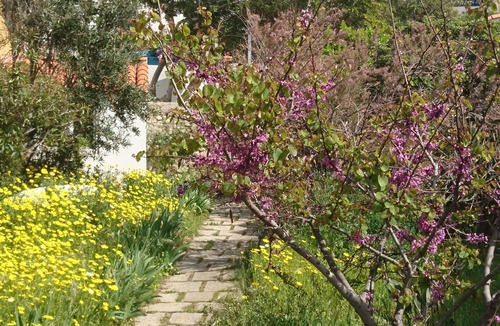 Endoume Apartment | In picturesque Malmousque area, 2 minutes from the sea near the ideal center for 2 people