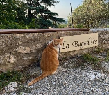 Salles-sous-Bois House | La Bugadière