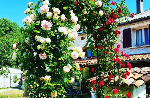 Sainte-Severe House | La fontenelle furnished rental with swimming pool in the heart of Cognac vineyards