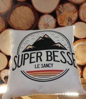 Besse-et-Saint-Anastaise Apartment | La forêt des Marmottes