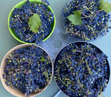 Soyaux House | La Grange d'Antornac