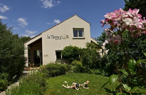 Beaune House | La Terre d'Or