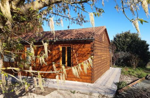 Saint-Leon-sur-Vezere Ski Chalet | La voie de l'hirondelle