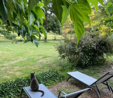 Seignosse Bed & Breakfast | Laguillotte