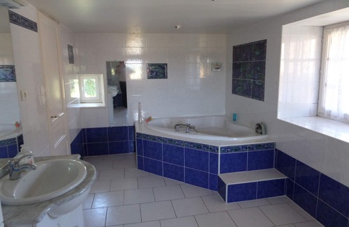 Romagne Other | Large 1850’s Charentais farmhouse with swimming pool 400 metres from Monkey Park