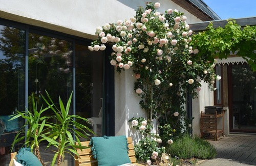 Ploemel House | Large family home in a quiet location 10 minutes from the beach