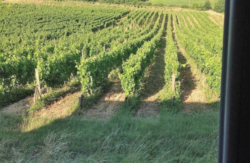Saint-Laurent-des-Combes House | Large house, sleeps 10, in the heart of the Saint-Emilion vineyards