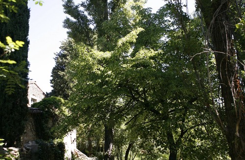 Lodeve Apartment | Large garden by the river and in the town center